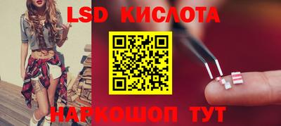 крисы Новозыбков
