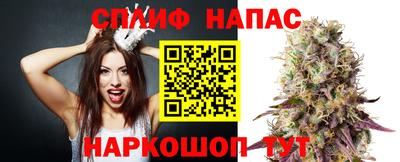 крисы Новозыбков