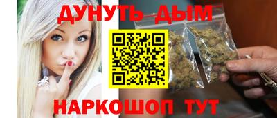 крисы Новозыбков