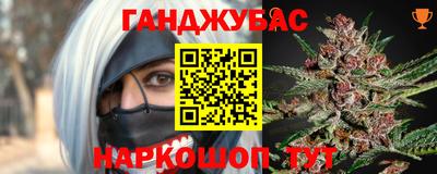 крисы Новозыбков