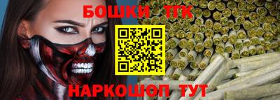 крисы Новозыбков