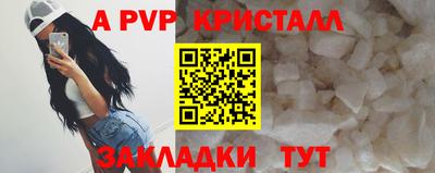 крисы Новозыбков