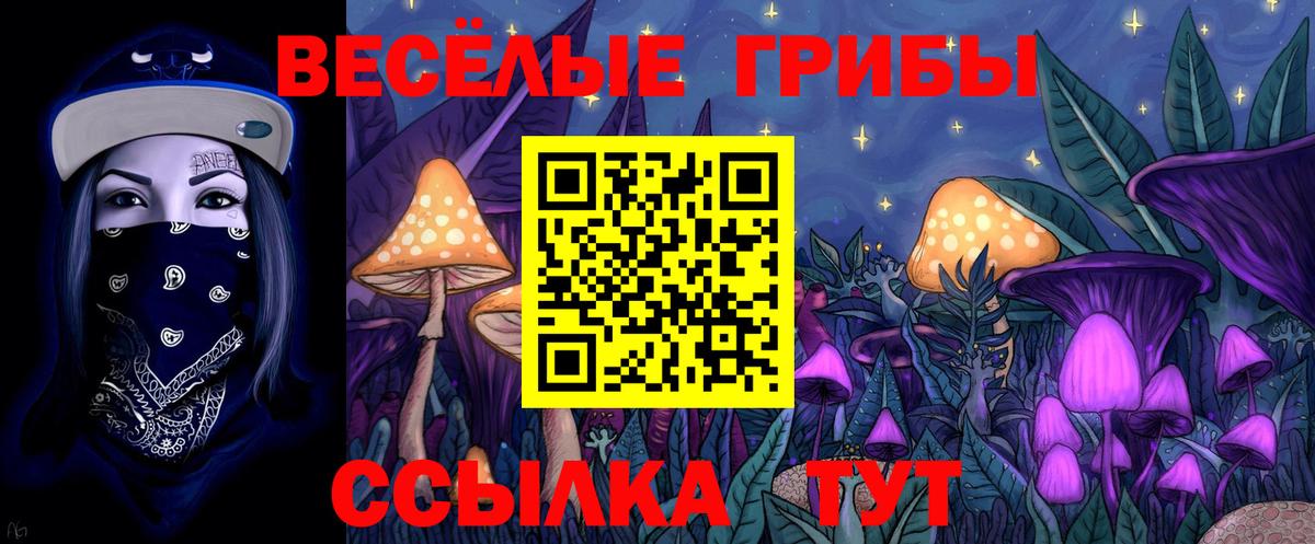 Псилоцибиновые грибы Magic Shrooms Ярославль