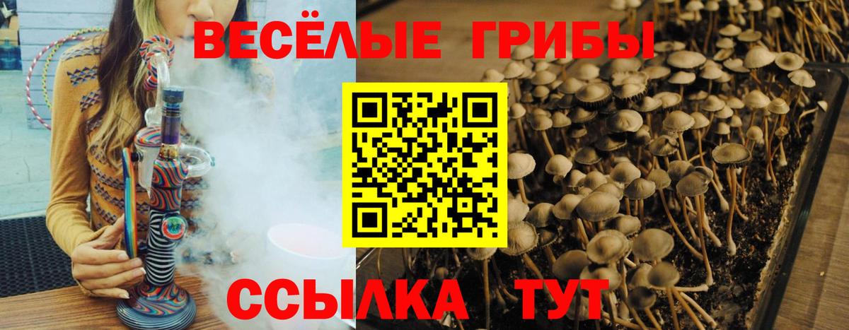 Ярославль  Псилоцибиновые грибы GOLDEN TEACHER  где найти наркотики  Вход с VPN 